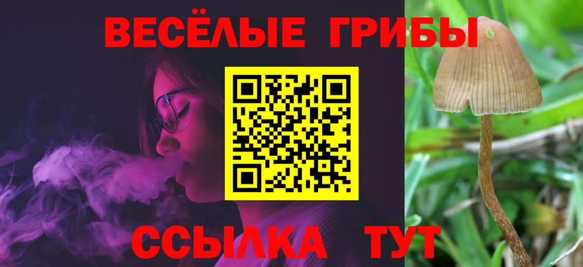 Псилоцибиновые грибы Magic Shrooms Азов